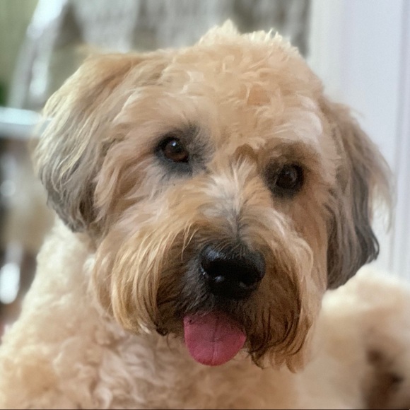 Meet your Posher, Karen - Picture 1 of 1